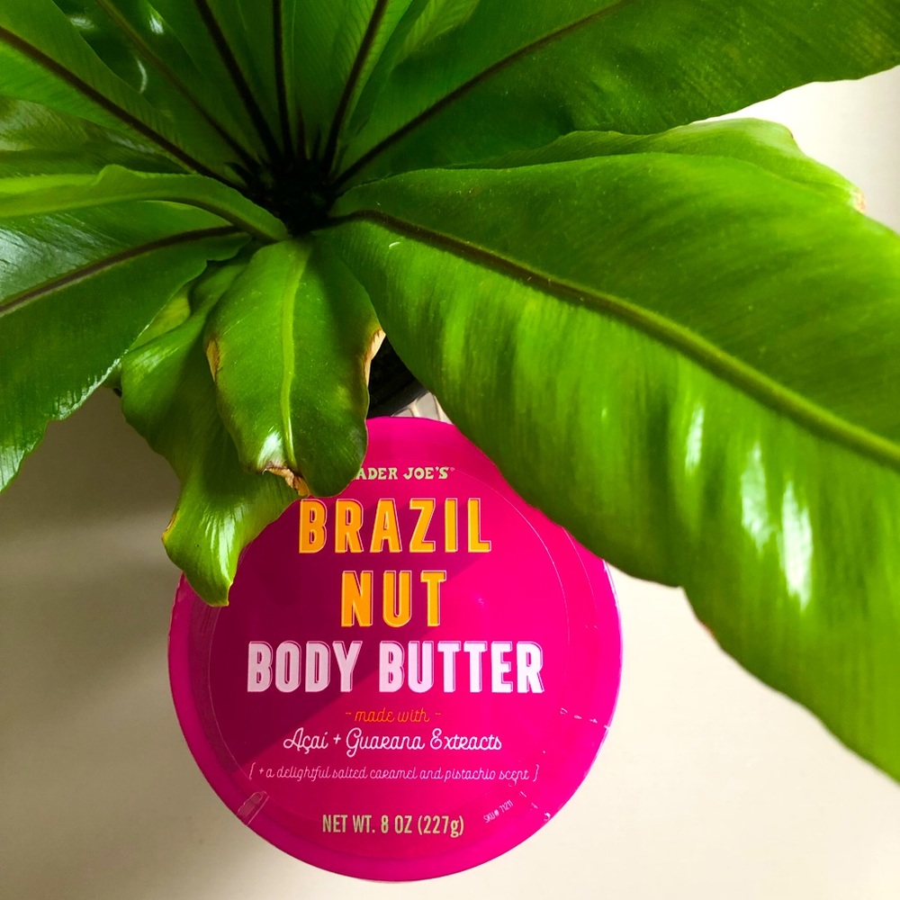 Trader Joe’s Brazil Nut Body Butter *SOLD OUT IN STORES